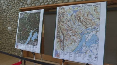 Logging plans near Bragg Creek scaled back, but many trail users still upset