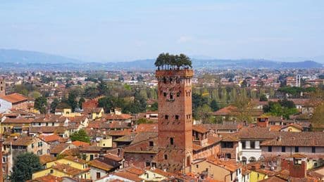 Wealthy Italian neighbors used to compete by building tall towers. See inside one that's still standing after 600 years.