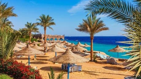 Egypt's dark underbelly where British holidaymakers must bribe their way out of jail