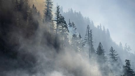 Incendies au Canada : les mégafeux ont déjà dévoré la superficie de la Belgique