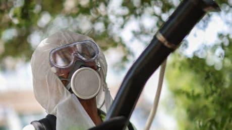 Alarm in China as mosquito-borne virus outbreak triggers zero-Covid-style controls