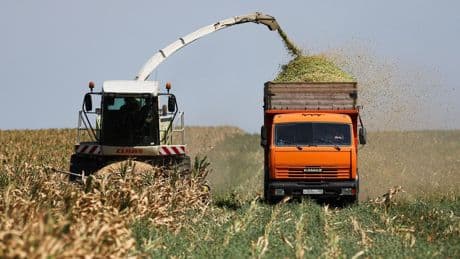 Krieg in der Ukraine: Warum nur Russland von einem "Gebietstausch" profitieren würde