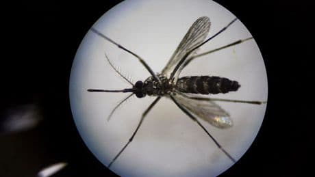 How Are Health Data Priced? Why Health Data Are Like Zika Prevention Programs