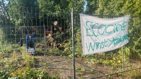 Omstreden kap van Betonbos Groningen stilgelegd na zien van eekhoorns