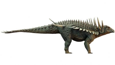 ‘Punk’ dinosaur with metre-long neck spikes discovered to protect it from fearsome predators