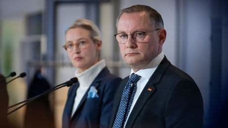 AfD: Verfassungsschutz stuft gesamte Partei als »gesichert rechtsextremistisch« ein