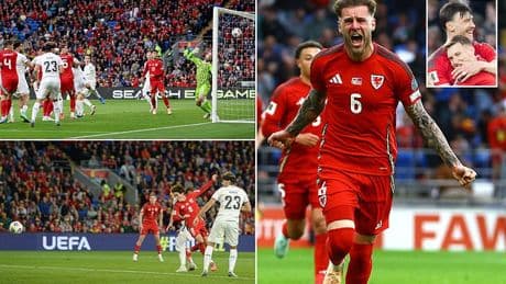 Wales 3-0 Liechtenstein: Craig Bellamy's side go top of World Cup qualifying group - but suffer huge injury blow in the process