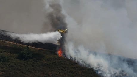 El abandono del terreno rústico: un 'combustible' para el fuego de 2,32 millones de hectáreas