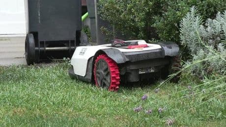 Schleswig-Holstein: Erste Städte wollen Nachtfahrverbot für Mähroboter einführen