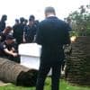 Unfall bei Filmfestspielen: Mann durch umfallende Palme beim Filmfest Cannes verletzt