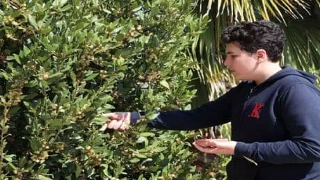 Küçük yaşında büyük keşif! Okul bahçesinde buldu, tohumuna sahip çıktı! Tamamen doğal üretim yapıyor