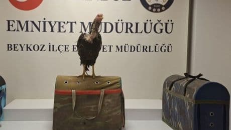 Metruk binaya 'Horoz' operasyonu!