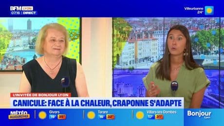 Capronne: face à la canicule la commune s'adapte