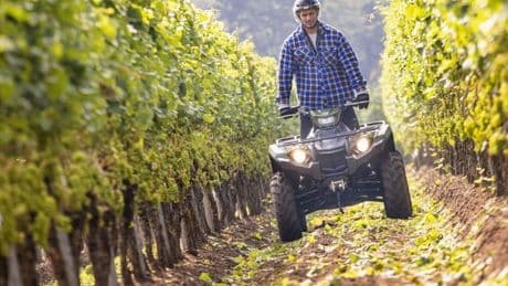 Vendimiar en quad: la innovadora solución para la agricultura