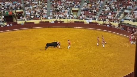 Tragödie in der Arena - Forcado stirbt nach Stierkampf