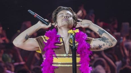 Oh là là!: Jetzt kann man Gleitgel und einen Vibrator von Harry Styles kaufen
