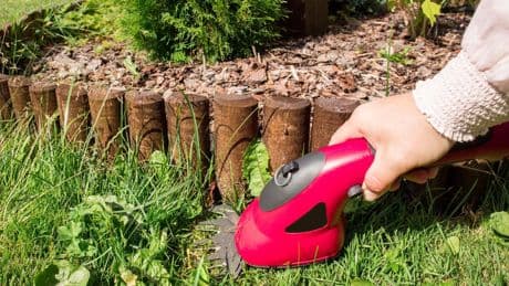 Kraut & Dübel: Gras- und Strauchschere inkl. Teleskopstiel mit 39 % Rabatt: Top Garten-Deals am Montag