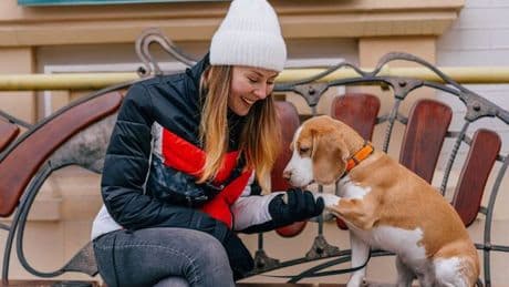 Your dog is saying something specific if they paw at you