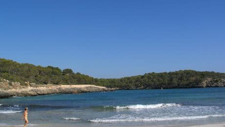 El día de Santa Margalida