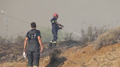 Hatay'da orman yangını: Yerleşim yerlerine yakın bölgede alevler yükseldi