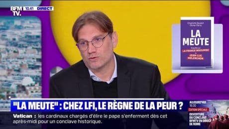 "La Meute": "Ce livre va permettre de dire les choses franchement et de tourner la page", affirme Heindrik Davi (ex-LFI)