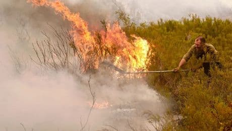 Nach massiven Waldbränden: Spanien ruft neue Katastrophengebiete aus