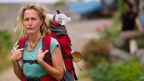 Wie Gillian Anderson in einen völlig falschen Film geriet