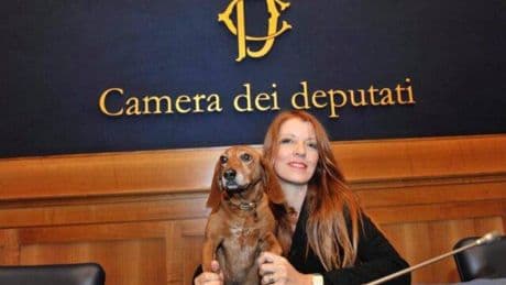 Tutela degli animali. Multe e condanne