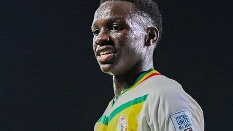 Fenerbahçe'nin ilk transferi Amara Diouf!