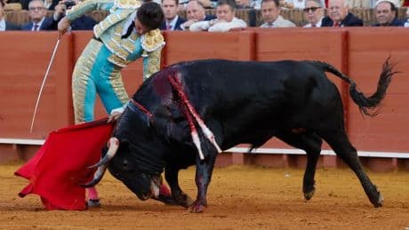 Todo para Roca Rey en Sevilla: lote de Puerta del Príncipe, triunfo menor