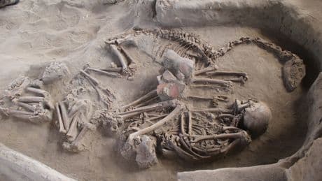 Decenas de tumbas de personas enterradas con llamas en Chile revelan una conexión milenaria