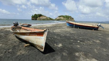 Aux Antilles, la pêche toujours mise à mal par un pesticide utilisé dans les bananeraies
