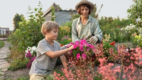 Richtig vorsorgen: Wie der frühe Ruhestand gelingt