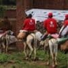 Aid workers use donkeys to reach remote Sudan landslide site