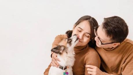 Via libera dell'Enac agli animali domestici in cabina: "Veri e propri passeggeri"