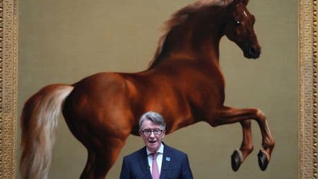 Cabinet Minister Heaps Praise On 'Outstanding' Peter Mandelson Despite Sacking Over Epstein Row