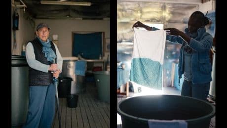 À Lectoure, dans le Sud-Ouest, à la recherche du mythique bleu “pastel des teinturiers”