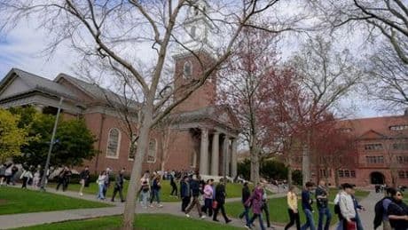 Donald Trump gegen Harvard: US-Regierung kappt Fördermittel für Eliteuni