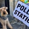 Local elections 2025: Dogs at polling stations