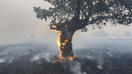 Confusión por la muerte de un hombre en Cipérez: la Junta de Castilla y León niega que haya fallecido a causa del fuego en la zona