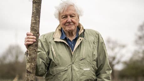 Neu im Kino: Mahnung und Magie: Die Doku "Ozean mit David Attenborough"