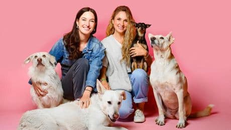 Start-ups: „Hunde brauchen Protein, aber kein Fleisch“: Vegdog wächst mit veganem Hundefutter