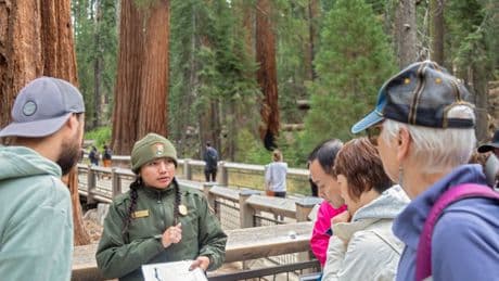 How the National Park System Is Faring Under the Trump Administration