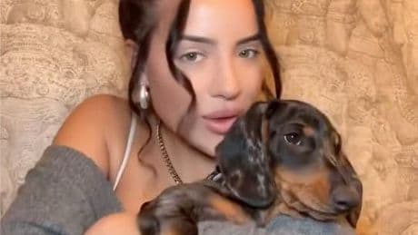 Dackel Alani bleibt zu Hause - Heiters Hochzeit zu HOT für Leylas DOG
