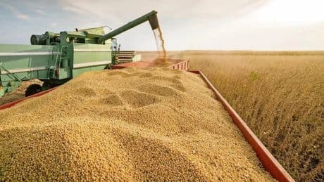 IFAD Başkanı Lario: Kırsal tarıma ekstra çaba şart