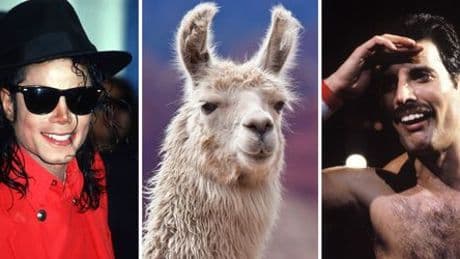 Freddie Mercury: Wie Lama Louie ein Duett mit Michael Jackson verhinderte