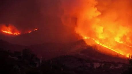 Greece fires LIVE: Zante and Kefalonia hit by blazes breaking out across country