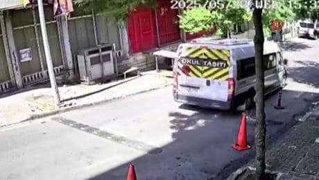 Küçükçekmece'de skandal olay! Yavru kediyi ezip yoluna devam etti