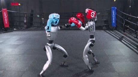 Robots humanoides peleando en un ring: China celebra el primer torneo de boxeo con androides del mundo