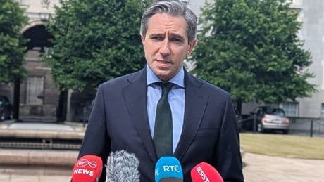 US tariff of 30% on EU could ‘stop trade as we know it’ – Irish foreign minister